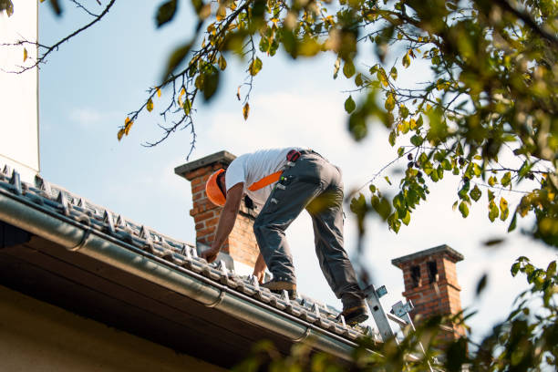 Roof Insulation Installation in Biscoe, NC